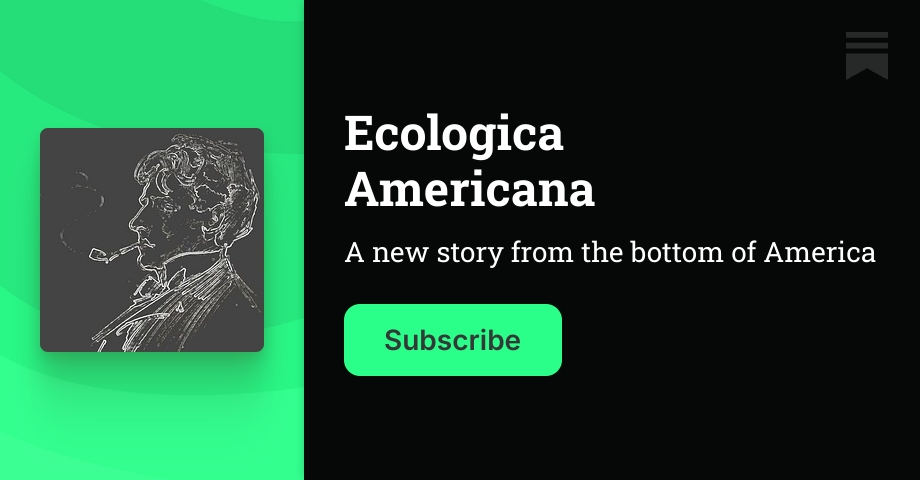 Ecologica Americana | Christopher Sandbatch | Substack