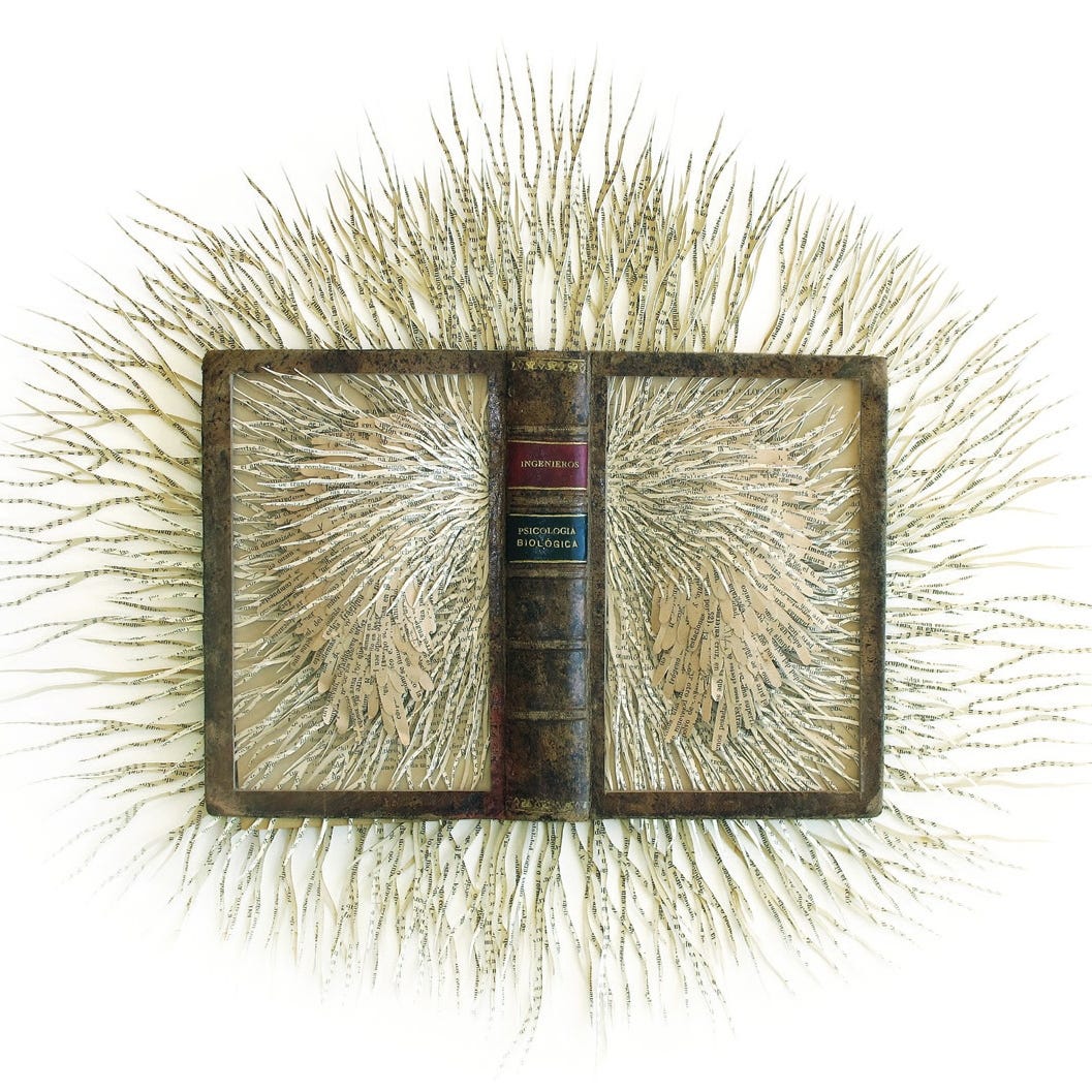 Where the Wild Stories Are