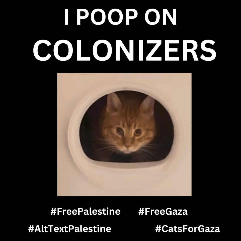 Graphic with a black background with a photo of Ernie, an orange cat peering out of a white litter box with a haunting expression. Large text in white reads, I POOP ON COLONIZERS. Below are hashtags: #FreePalestine #FreeGaza #AltTextPalestine #CatsForGaza
