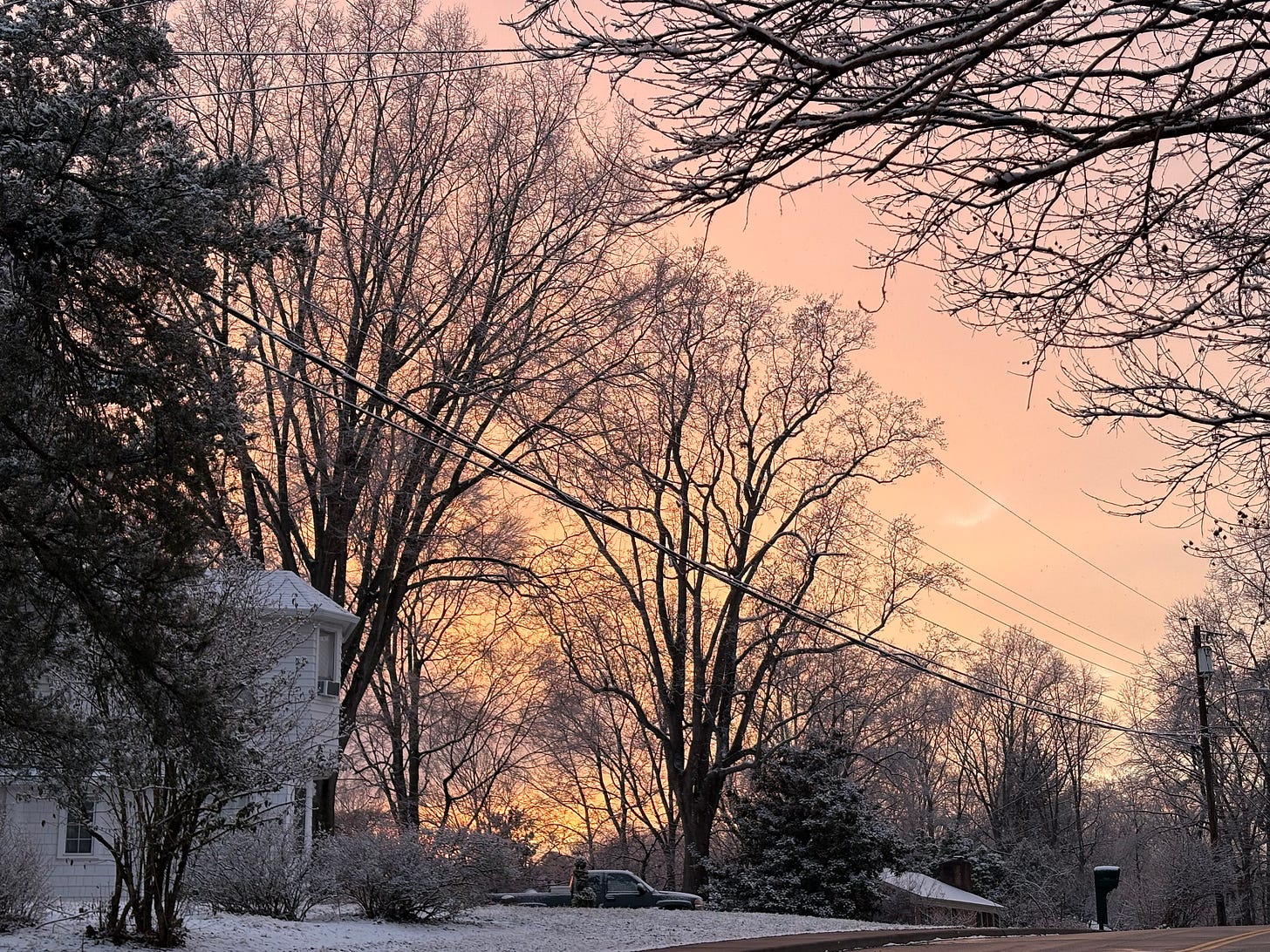 photo of orange-pink winter sunset through bare tree limbs