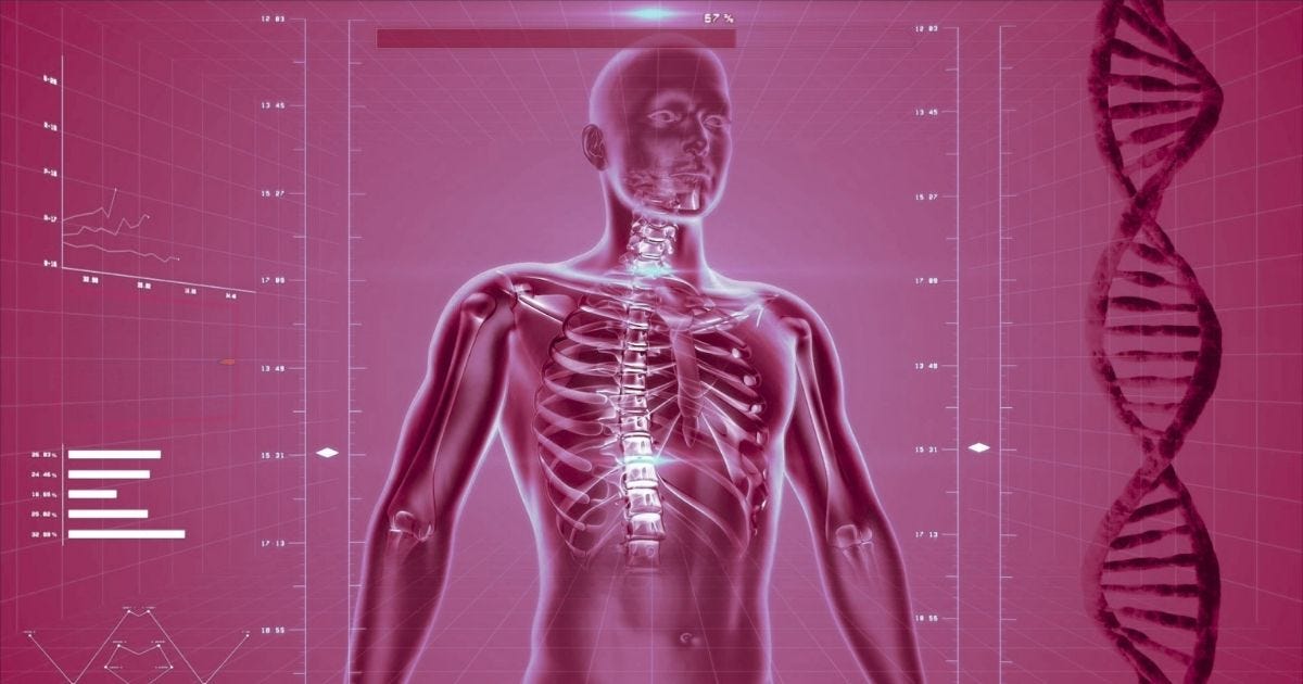 Image of human skeleton. Photo courtesy of PublicDomainPictures via Canva. Image of human skeleton. Photo courtesy of PublicDomainPictures via Canva.