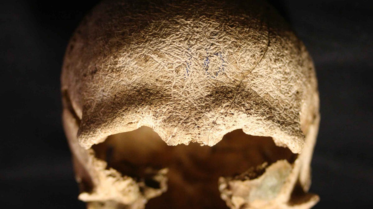 How human evolution has been speeding up - John Hawks