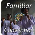 Familiar-Convention: Collective Cognition and Intuition