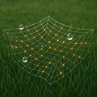 DEUS - geometry, topology and structure 1.0