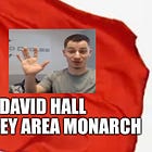 Summary 2 David Hall aka Grey Area Monarch