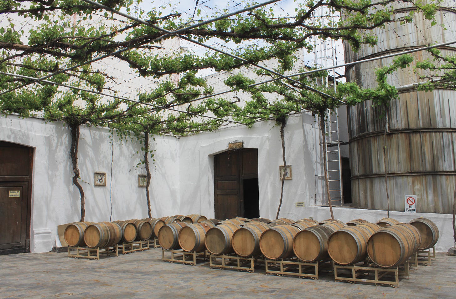 Interior courtyard at Casa Madero winery in Parras de la Fuente, Mexico, showing rows of wooden barrels beneath a vine-covered pergola against whitewashed walls. Interior courtyard at Casa Madero winery in Parras de la Fuente, Mexico, showing rows of wooden barrels beneath a vine-covered pergola against whitewashed walls.