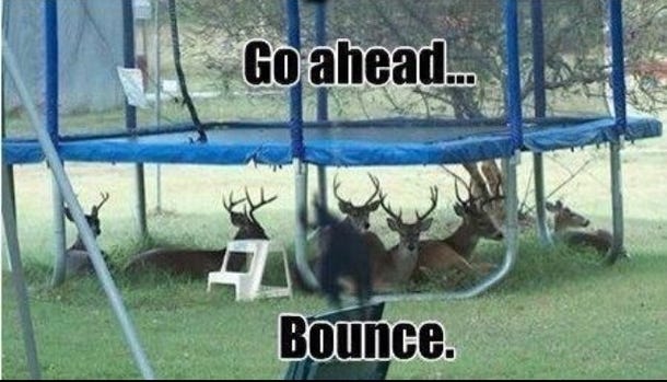 Bounce - Meme Guy