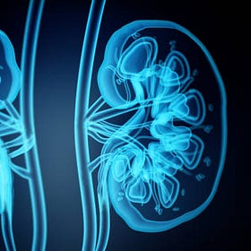 Kidney problems on the rise from the Covid vaccines