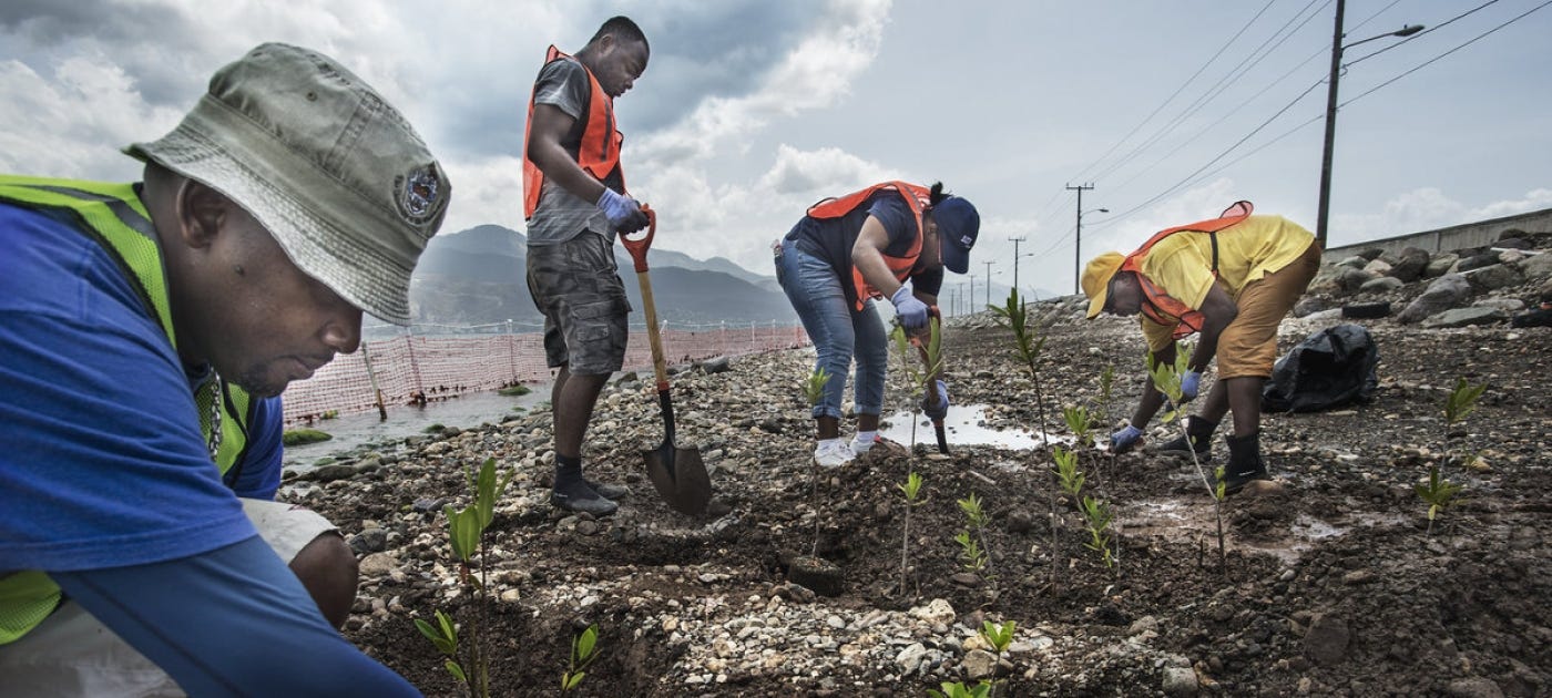 Green shoots: are COVID-19 recovery funds helping the environment?