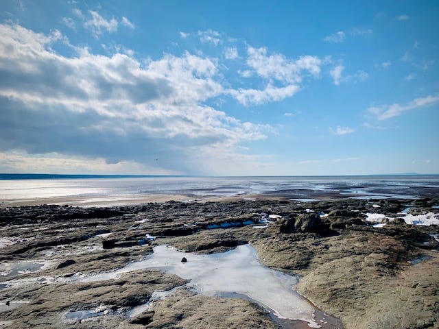 an expansive rocky shoreline with icy tidepools and sunny skies above