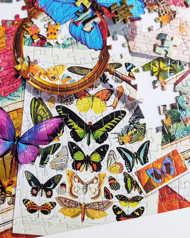 Buffalo Games The Butterfly Collector Jigsaw Puzzle