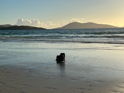 Photographs of Luskentyre Beach with Billy the Collie