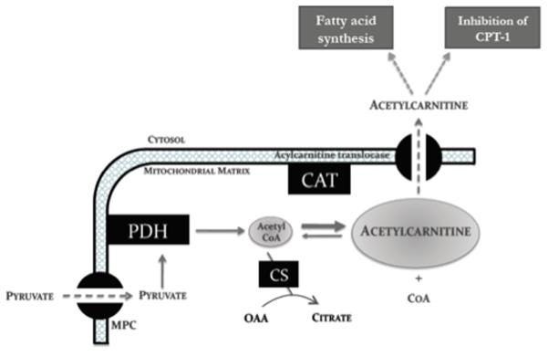 Figure 1 Figure 1
