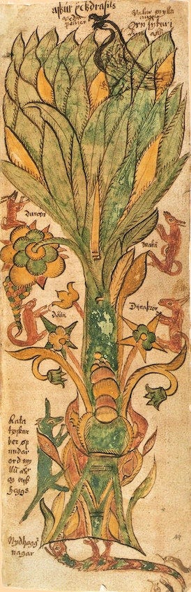 yggdrasil yggdrasil