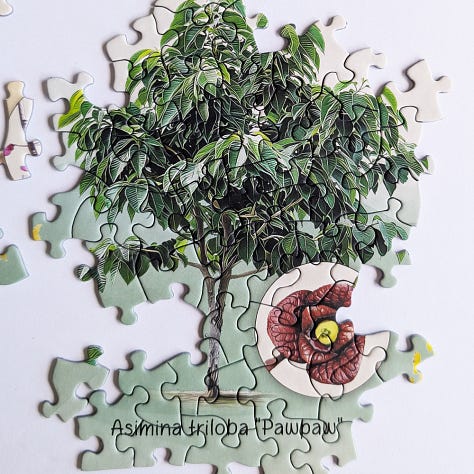 Gallery of Highland Creek Jigsaw Puzzle