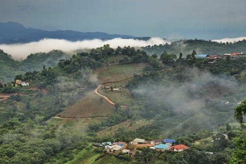 Enjoy Mae Salong’s moody, misty outlook. Photo: Mark Ord