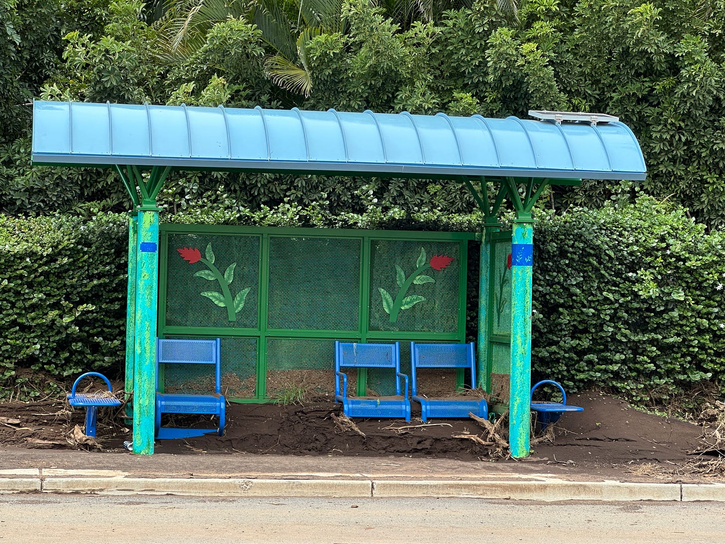 blue and green bus stop on South Kihei Road on Maui covered in mud up to the benches.