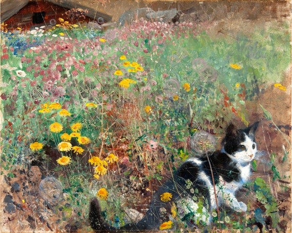 Cat on a flowery meadow, Bruno Liljefors print, Antique cat oil painting,  Vintage cat wall art, Wildflowers, Barn, Feral cat, Impressionism