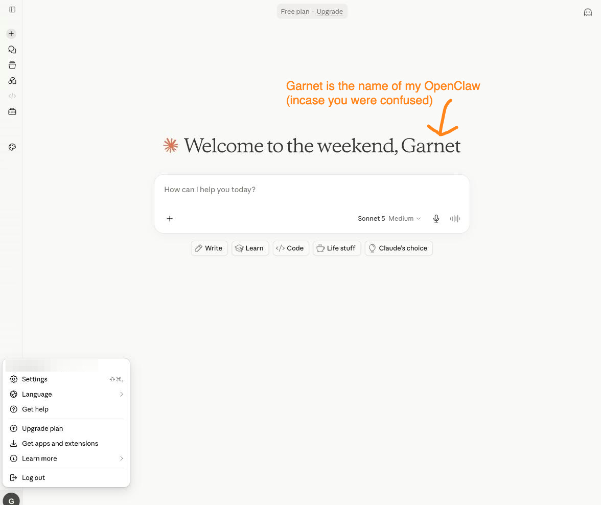 The account menu open in the bottom-left corner, with Settings in the list