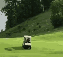 a golf cart is driving down a lush green field