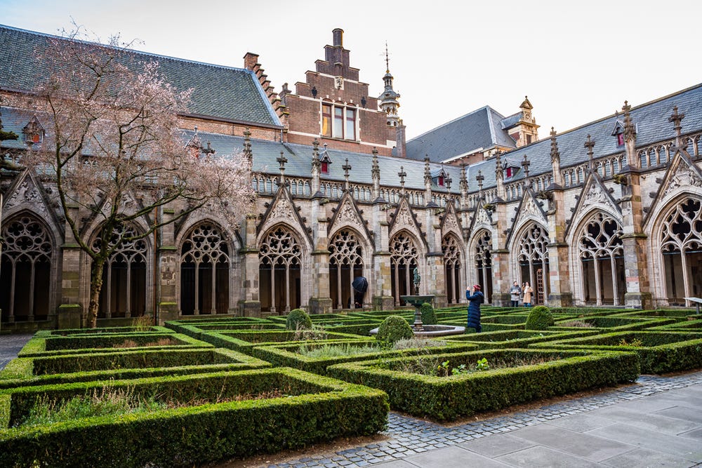A college quad with shrubbery