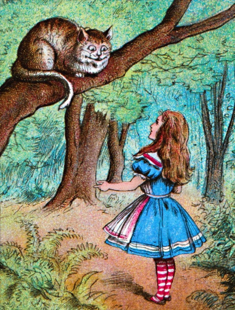 Alice and the Cheshire Cat by John Tenniel: Fine art print