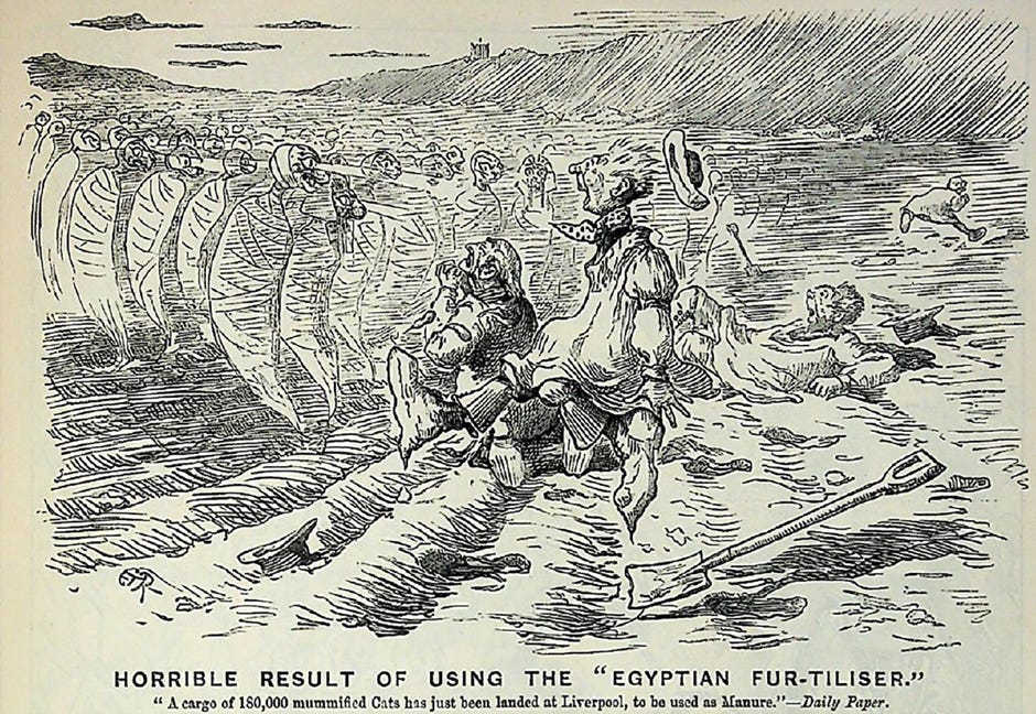 a cartoon showing terrified agricultural workers fleeing an army of ghosts of dead cats, not unlike something from one of those Jason and the Argonauts things with Ray Harryhausen animation, with the title ‘Horrible Results of Using the “Egyptian Fur-tiliser”’