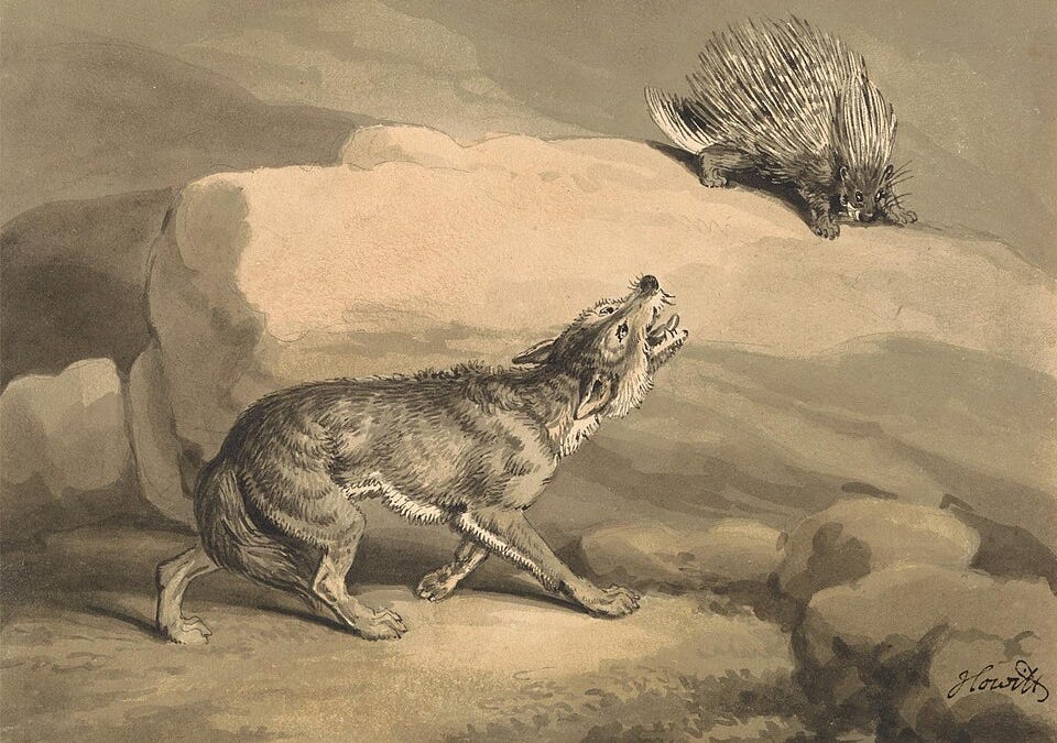 When the Fox Dreams of the Hedgehog SEO Title