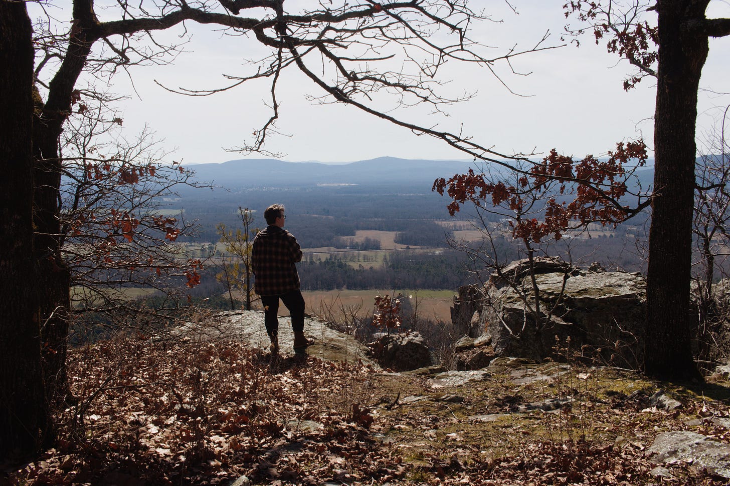 I stand mostly in silhouette. My short hair, glasses, and plaid top are barely visible. The image is mostly a wide landscape of trees and the Petit Jean mountains. Brown leaves and moss cover the ground.