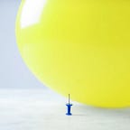 Capital Flows and Asset Markets