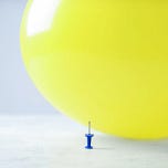 Capital Flows and Asset Markets