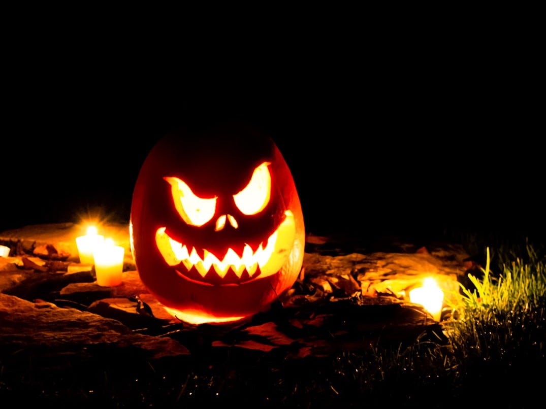 jack o lantern on brown dried leaves