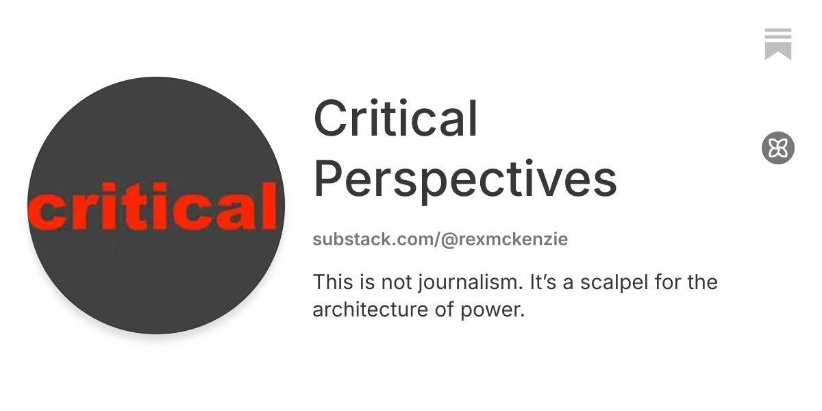 Critical Perspectives | Substack