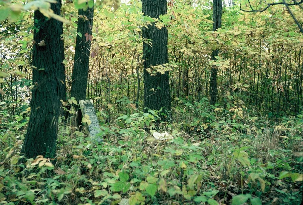 Wilcox Cemetery in Adams Mills, Ohio - Find a Grave Cemetery