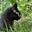 Patti Thomas's avatar