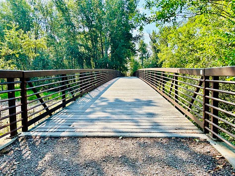 trees, trails, water, bridge, house, mountains