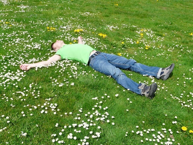 high angle view of man lying down on grass