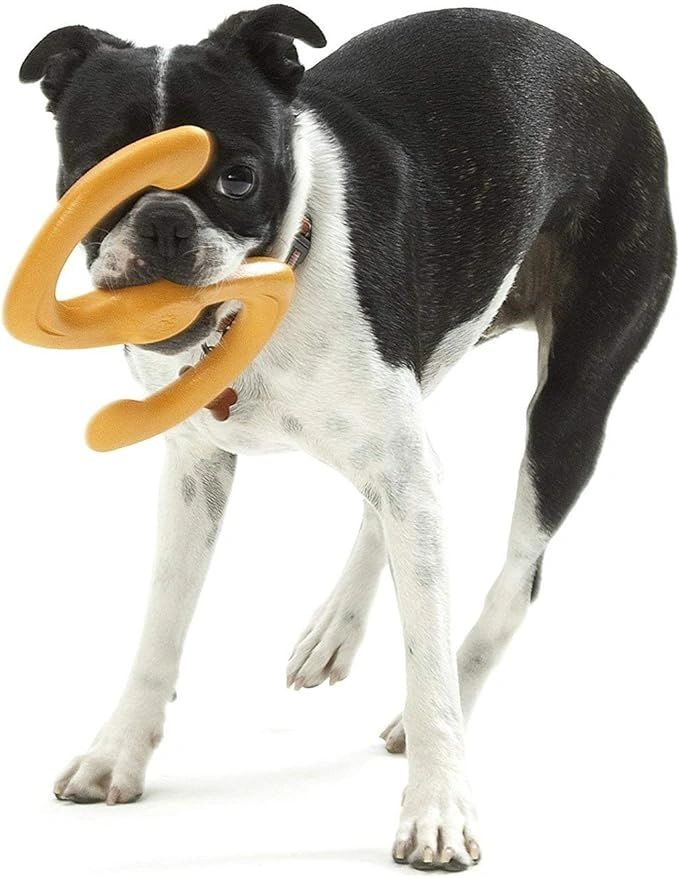 Chew toy for dog, best fetch toy for dogs, best chew toy for dogsZogoflex Bumi Dog Toy
