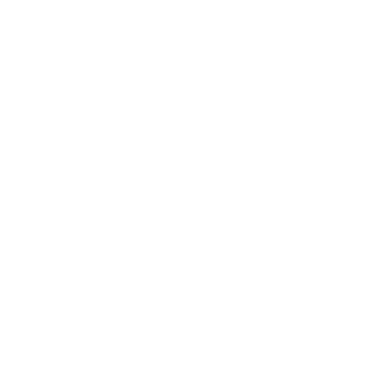 Conscious Connection