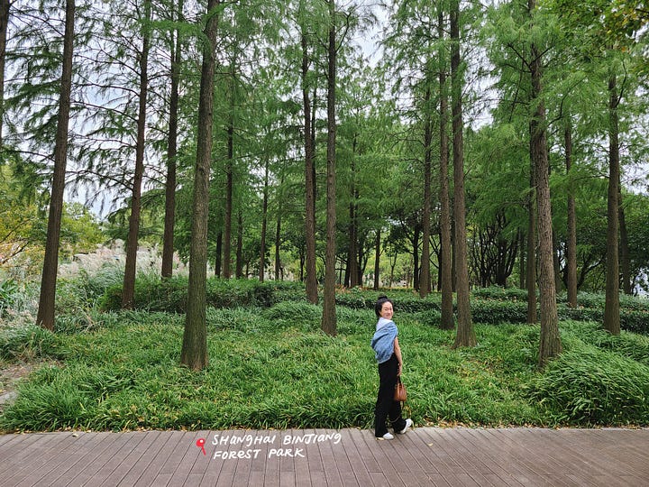 Shanghai Binjiang Forest Park
