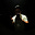 Avatar de Josue Baez