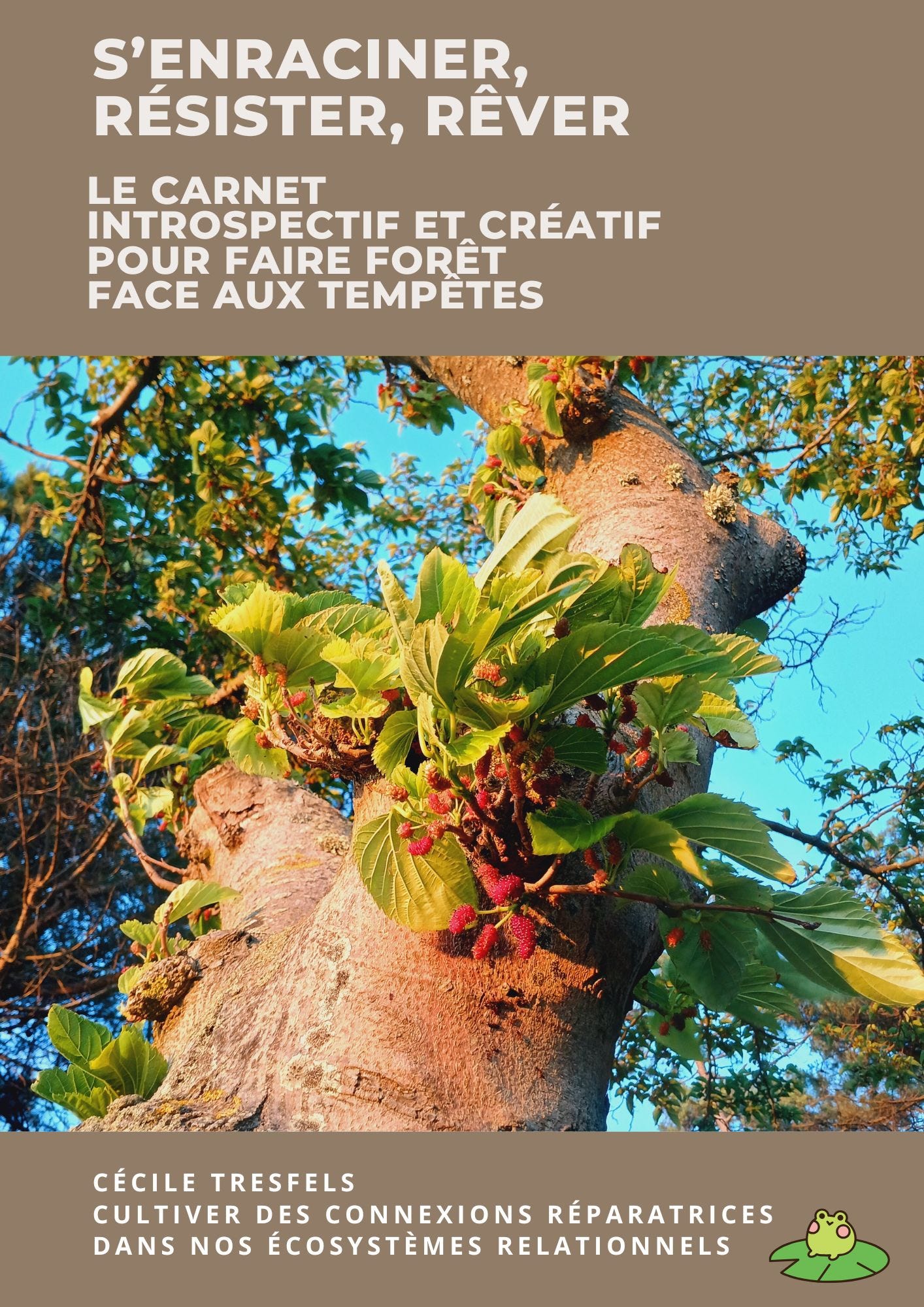 couverture du carnet avec un mûrier platane qui se déploie en contre-plongée au soleil. Texte en blanc sur fond marron clair: s'enraciner, résister, rêver, le carnet introspectif pour faire forêt face aux tempêtes, Cécile Tresfels, Cultiver des connexions réparatrices dans nos écosystèmes relationnels.