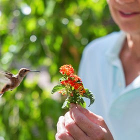 Contrarian Culture Club Recommendations