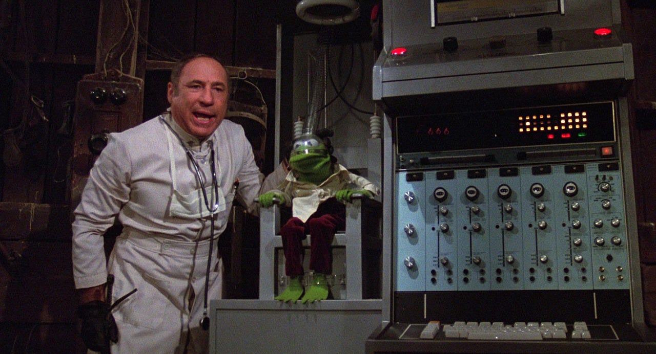 Image result for mel brooks muppet movie