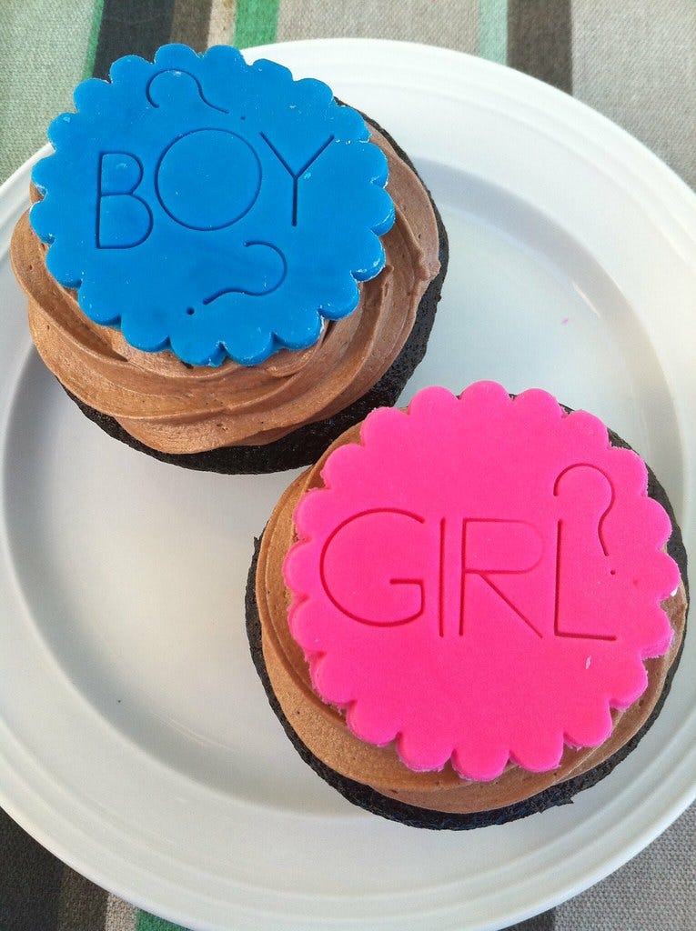 two chocolate cupcakes, one with a blue topper that says "boy?" and one with a pink topper that says "girl?"