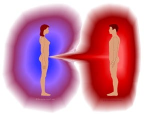 aura-dynamics-emotions aura-dynamics-emotions