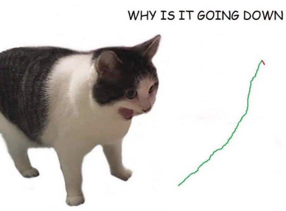Why is it going down? 🙄🙄🙄 : r/dogecoin