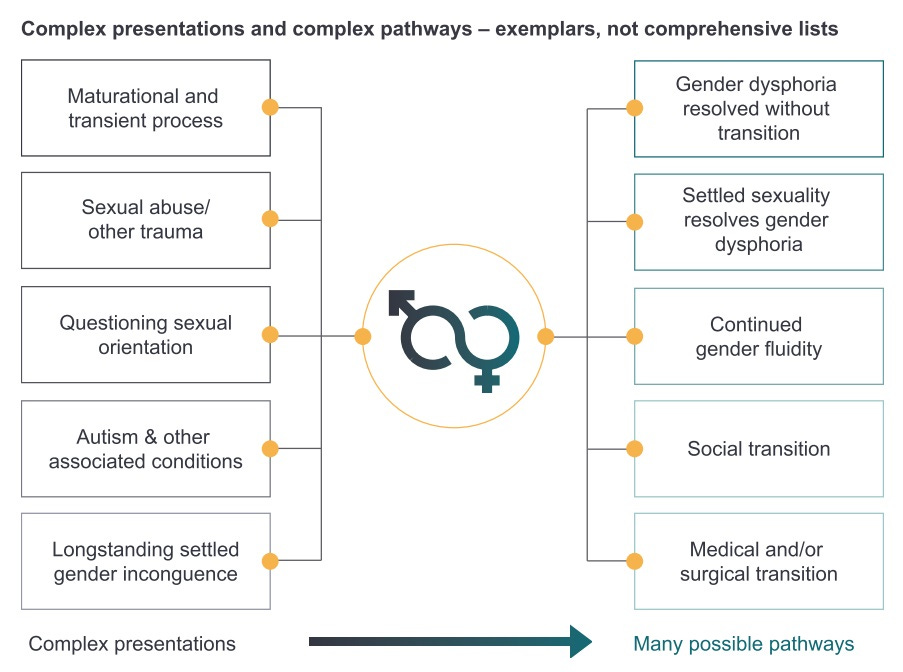Genspect concerns submitted to the World Health Organisation (WHO)  regarding the announcement of the development of a guideline on the health  of trans and gender diverse people — Genspect