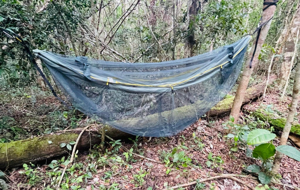 Vision Quest : 4 jours seul dans la jungle sans boire ni manger ni parler