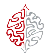 Kovos laukas - smegenys